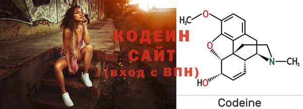 амф Костерёво