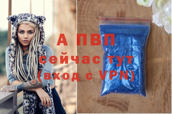 амф Костерёво
