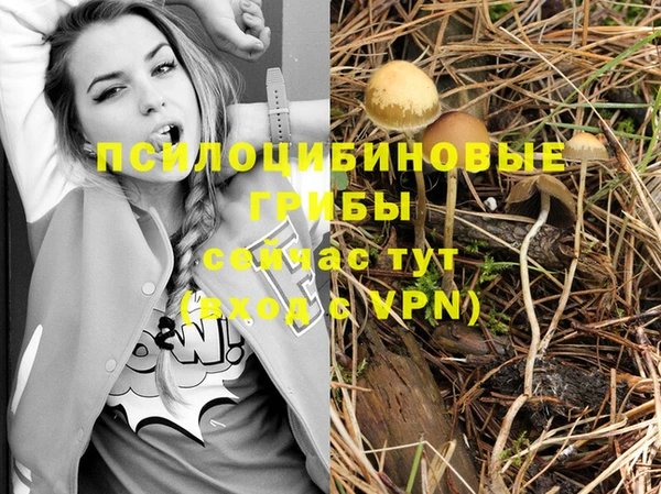 мяу мяу кристалл Коряжма