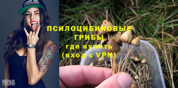 амф Костерёво