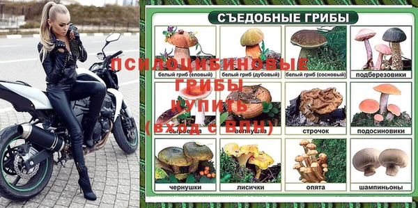 амф Костерёво