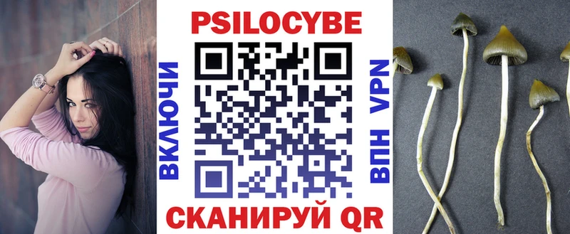 Купить где  Петровск-Забайкальский  Псилоцибиновые грибы Psilocybe 